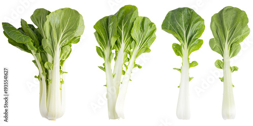 Foto cabbage Bok choy Pak Choi Pak Choj Chinese cabbage isolated on tranparent backgr