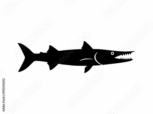 Barracuda Fish Silhouette Isolated on White Background