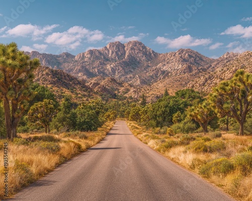 Straight Desert Road Through Scenic Landscape