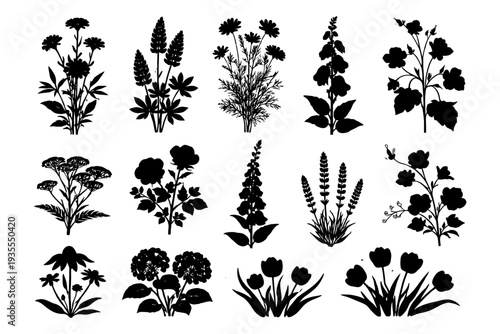 Silhouette collection of various flower arrangements and plant designs.