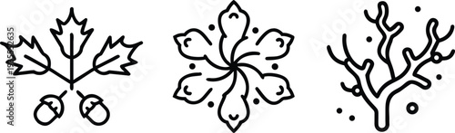 Set of Minimalist Nature Line Icons featuring Oak Leaves, Floral Mandalas, and Coral Branches