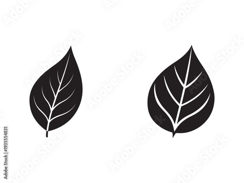 Two dark grey leaves with white veins on white background  simple leaf shapes
