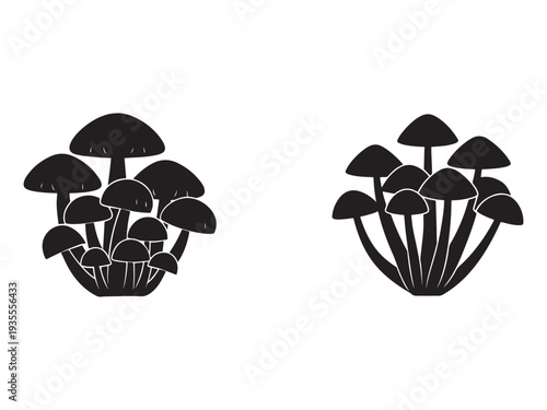 Two groups of mushrooms with different shapes and sizes on white background  fungi illustrations
