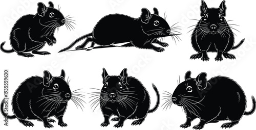 Black Degu Silhouette Icon Set for Small Rodent Pet Illustration Vector Pack for Animal Nature Wildlife and Zoology Design Projects