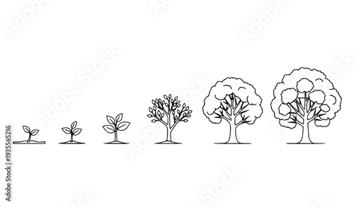 A vector graphic illustration showing the growth stages of a tree from a small sprout to a mature tree