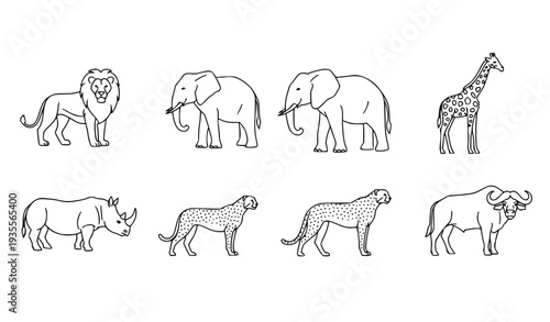 A set of eight black and white line art illustrations of various wild animals, including a lion, elephant, giraffe, rhinoceros, leopard, and buffalo.
