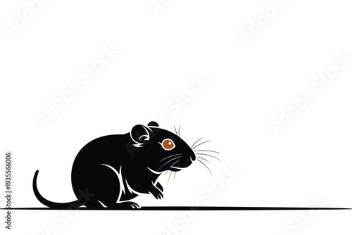 Black rat with orange eye sitting on ground looking right