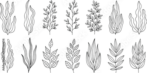 Collection of twelve black-and-white botanical leaf illustrations showcasing diverse plant shapes, vein patterns, and textures for design inspiration, artistic reference, 