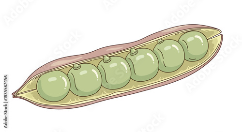 Pea Pod with Green Peas Inside.