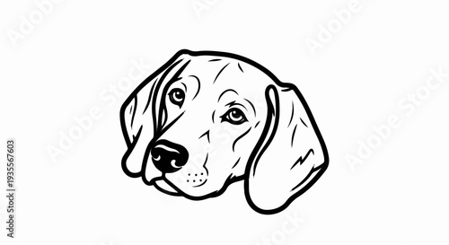 A black and white line drawing of a dog's head