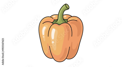 Orange Bell Pepper Vegetable Illustration.
