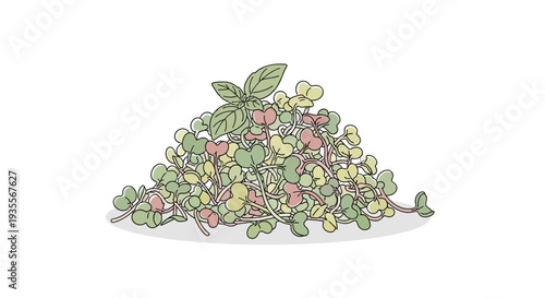 Pile of Fresh Green Basil Leaves.