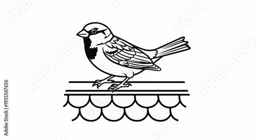 A detailed line drawing of a sparrow perched on roof tiles