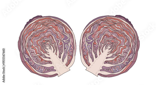 Two Sliced Red Onions Closeup.