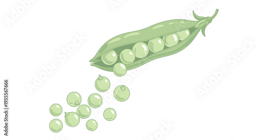 Fresh Green Peas in Pod and Scattered.