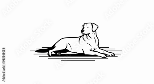 Black and white line drawing of a dog lying down on a white background