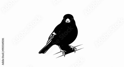 Silhouette of a small bird perched on a branch, facing forward