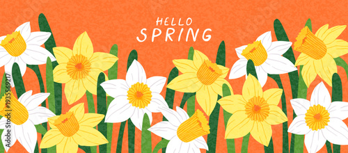Hand drawn horizontal background of spring flowers. Botanical illustration with white and yellow narcissus. Modern design for Mother's Day, Easter, Women's Day, holiday invitation, banner