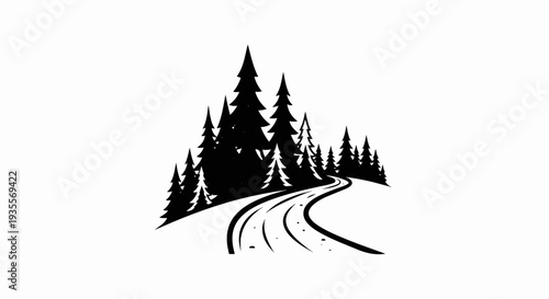 Winding path through a dense forest of fir trees