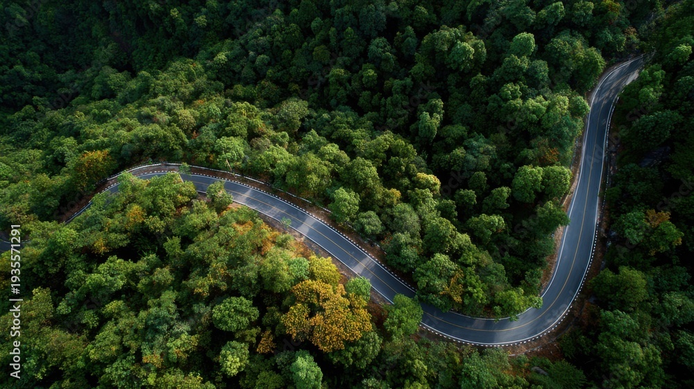 Obraz premium Aerial view of a road in the middle of the forest , road curve construction up to mountain 