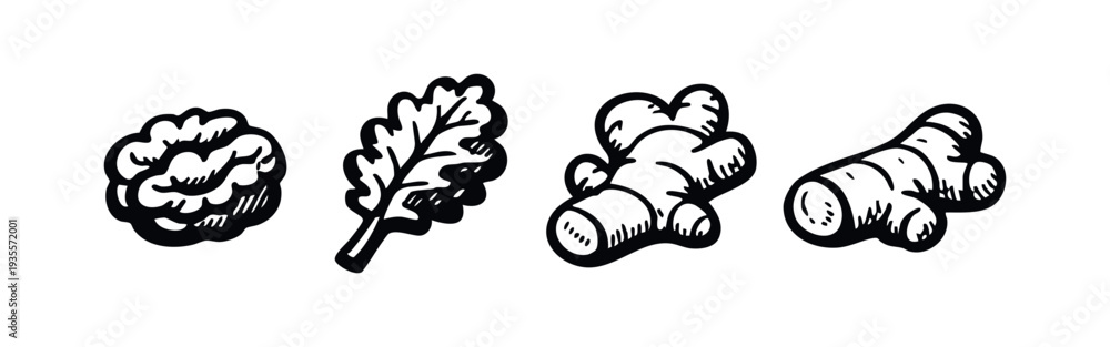 Fototapeta premium Hand-drawn doodle icons of healthy superfoods: walnut, kale leaf, and ginger root. Organic ingredients set.