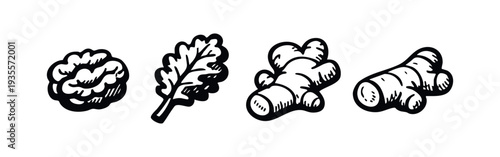 Hand-drawn doodle icons of healthy superfoods: walnut, kale leaf, and ginger root. Organic ingredients set.