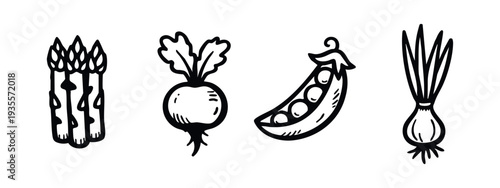 Hand-drawn doodle icons of fresh spring vegetables: asparagus, radish, pea pod, and spring onion. Healthy food.