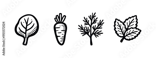 Hand-drawn doodle icons of healthy vegetables and herbs: spinach, carrot, dill, and mint. Organic ingredients.