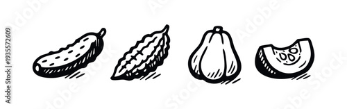 Hand drawn collection of cucumber, bitter melon, and squash vegetables.