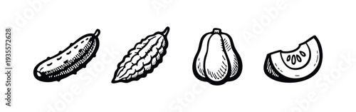 Hand drawn set of cucumber, bitter gourd, and squash vegetables.