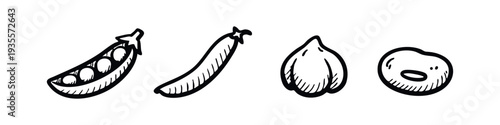 Hand drawn illustrations of pea pods, chickpeas, and various beans.