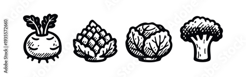 Hand drawn radish, artichoke, cabbage, and broccoli vegetables.