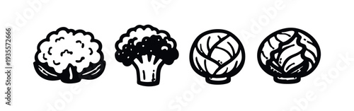 Hand-drawn black and white icons of fresh cruciferous vegetables: cauliflower, broccoli, cabbage, and brussels sprout.