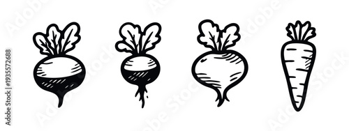 Rustic hand-drawn icons of fresh root vegetables: various radishes and a carrot, in black and white.