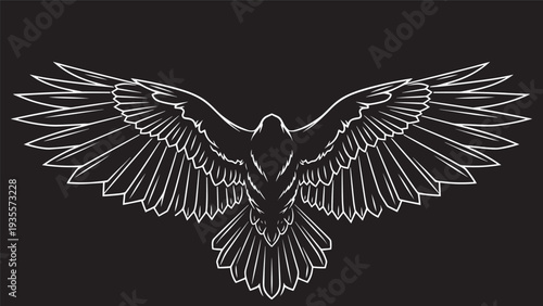 Line art depiction of a winged bird with outstretched wings against a dark background, emphasizing feather details and elegance.