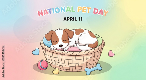 Adorable puppy sleeps in wicker basket on national pet day surrounded by toys and hearts on colorful background