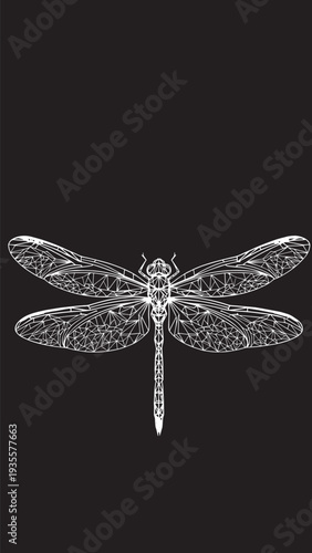 Elegant black and white lineart dragonfly illustration.