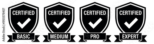 Simple graphic certified badge set featuring basic, medium, pro, and expert certification levels for quality assurance and professional services
