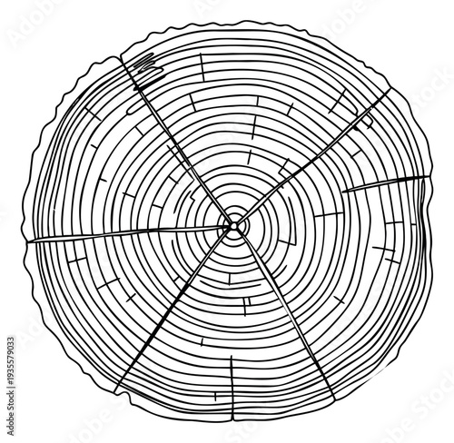 Hand drawn line art illustration of a tree ring depicting annual growth for nature concepts