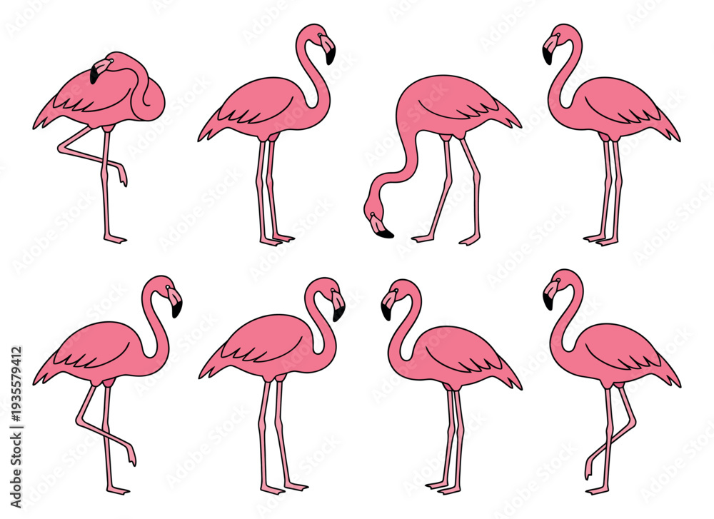Obraz premium Hand drawn line art flamingo set featuring various poses for tropical and summer designs