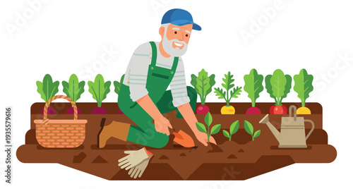 Flat design illustration of an elderly man depicting planting seedlings in a vegetable garden