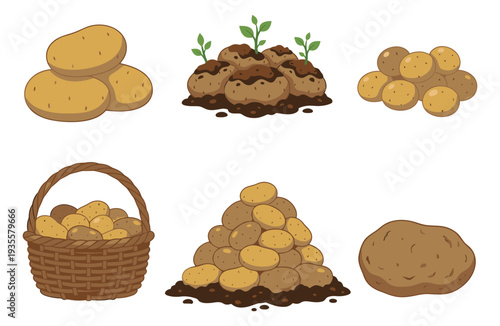 Hand drawn potato set featuring fresh raw potatoes, growing potatoes in soil, and a potato basket for agriculture and food themes