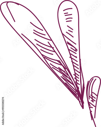 Herbal Leaves Sketch