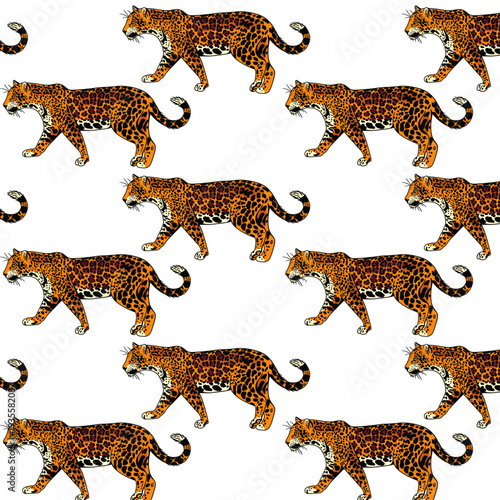 Jaguar cat illustration repeat pattern in vector with clear background