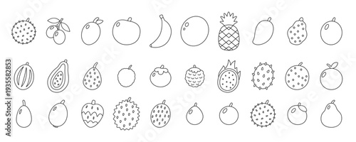 Minimal fruit line art icons set. Outline tropical exotic fruits vector illustration for coloring and design