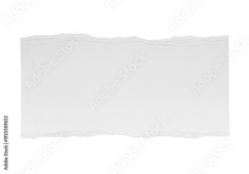 Wallpaper Mural A close-up view of a crumpled white piece of paper on a gray surface. isolated on transparent background 'Png Torontodigital.ca