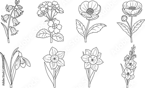 Collection of delicate line art drawings of various spring flowers and plants