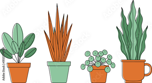 Minimalist houseplant collection in pots, modern indoor plants illustration, decorative potted greenery vector set for home decor