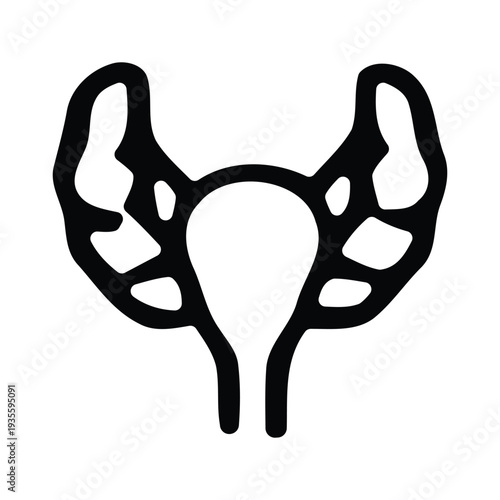 Human pelvis bones anatomy illustration in black color  medical educational diagram