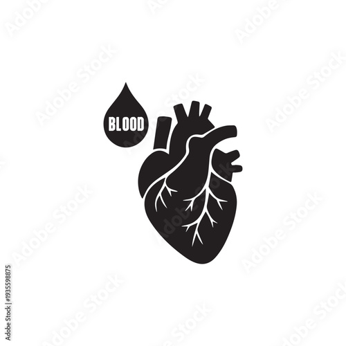 Anatomy blood coronary heart icon silhouette vector design art illustration.